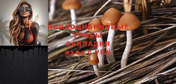 МДПВ Вязники