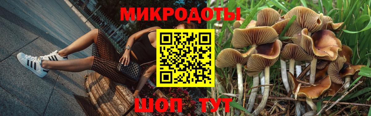 Псилоцибиновые грибы MAGIC MUSHROOMS  Вход с VPN  Елец 